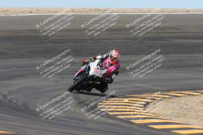 media/Mar-09-2024-SoCal Trackdays (Sat) [[bef1deb9bf]]/1-Bowl Exit (940am)/